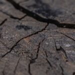 Timber Fire Treatment